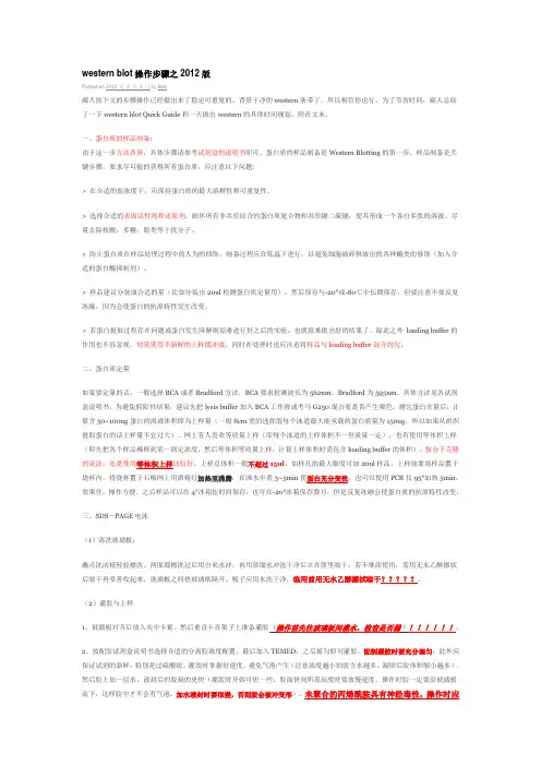 western blot操作步骤之2012版