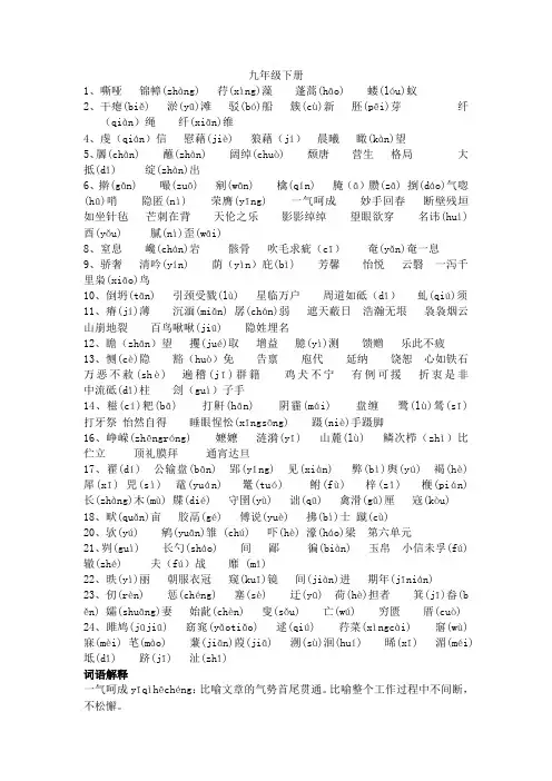 九年级下册基础知识清单及练习题