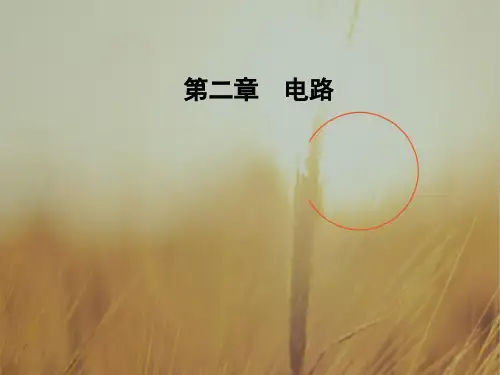 2017-2018学年粤教版高中物理选修3-1课件：第二章 第二节 对电阻的进一步研究 精品