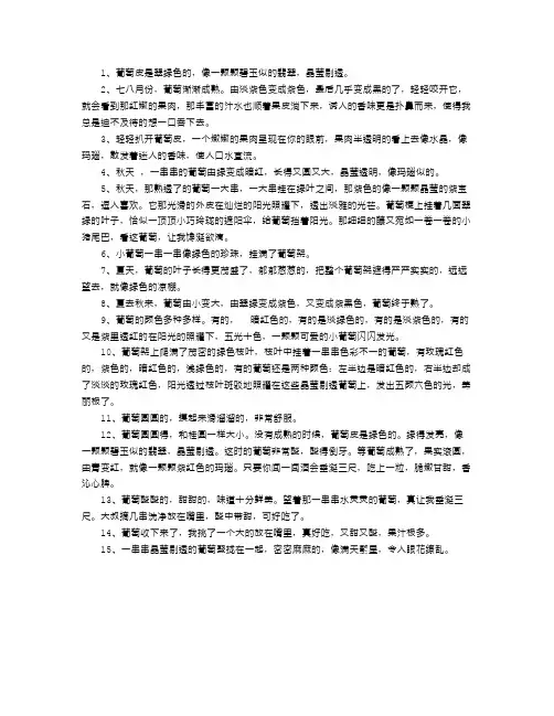 描写葡萄的句子,段落