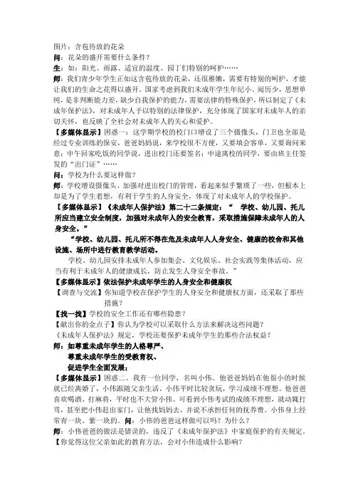 未成年人保护法教案