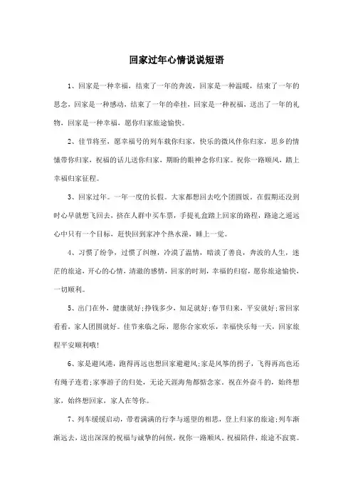 回家过年心情说说短语