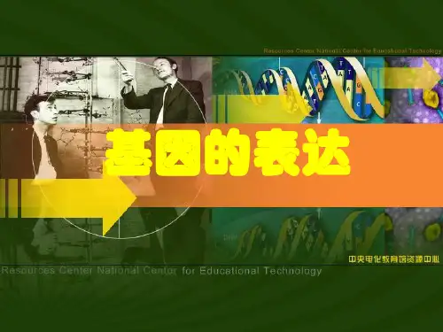 基因的表达
