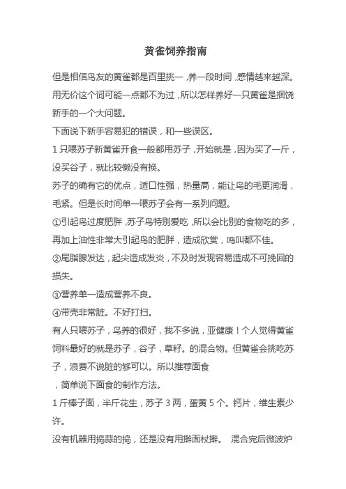 黄雀饲养指南