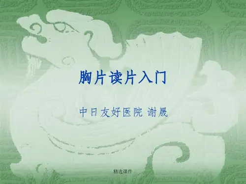 胸片读片入门ppt课件