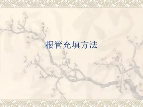 课件-根管治疗术充填方法yu