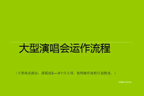 大型演唱会运作流程.