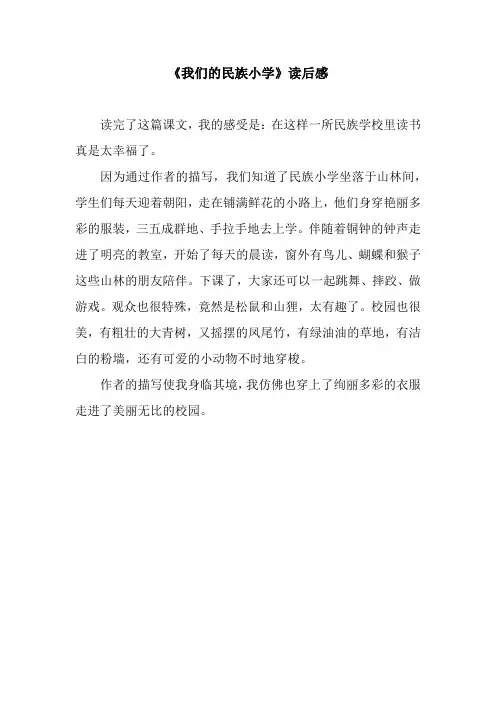 《我们的民族小学》读后感_1