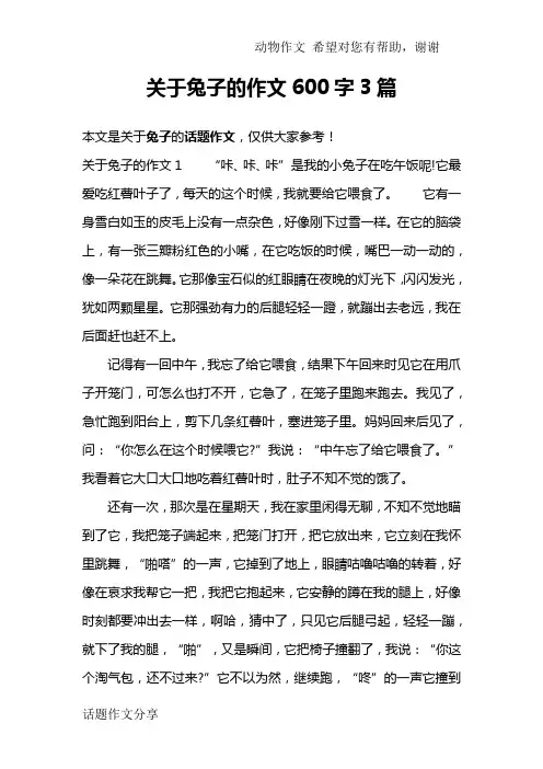 关于兔子的作文600字3篇