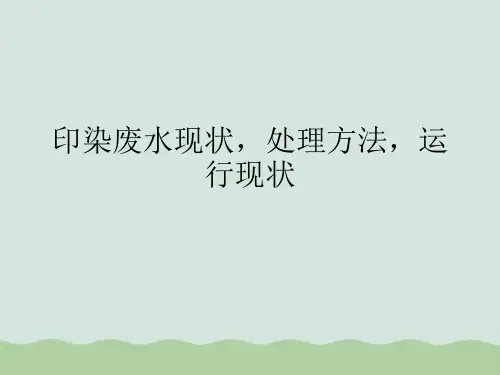 印染废水现状及处理方法PPT课件