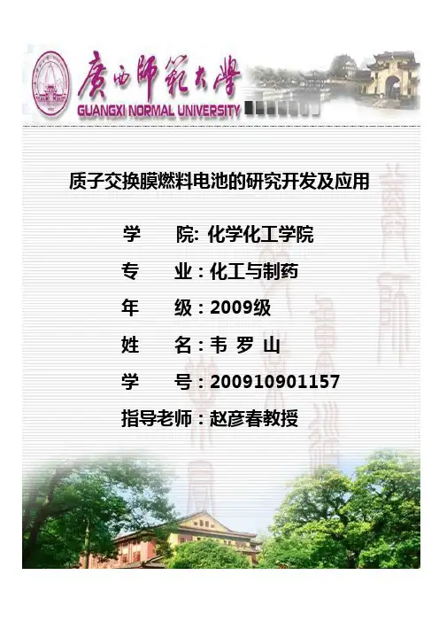 燃料电池论文