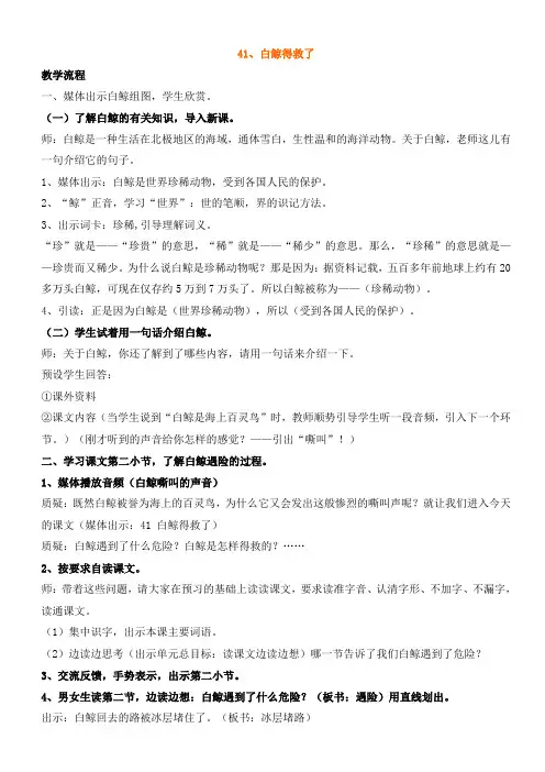 41白鲸得救了