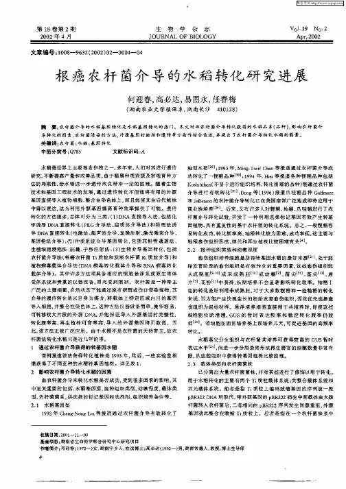 根癌农杆菌介导的水稻转化研究进展