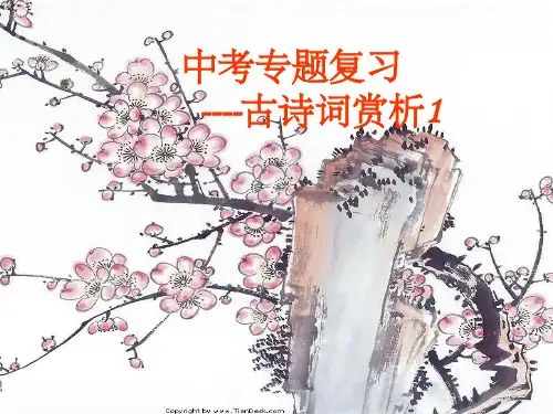 中考古诗词复习ppt课件