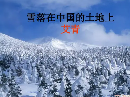 雪落在中国的土地上课件