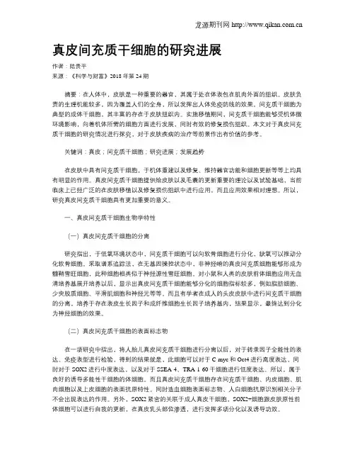 真皮间充质干细胞的研究进展