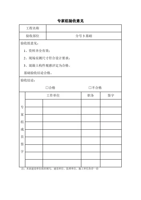 专家组验收意见