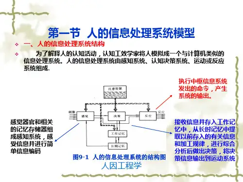 艾宾浩斯遗忘曲线。
