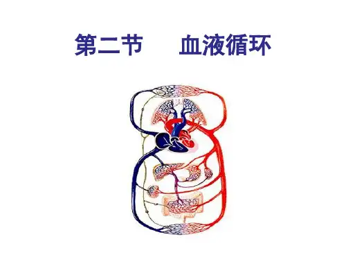 9.2血液循环(北师大)经典