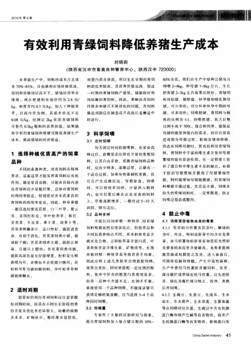 有效利用青绿饲料降低养猪生产成本