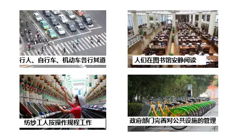 道德与法治人教部编版八年级上册《维护秩序》PPT课件