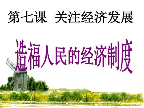 九年级政治关注经济发展(新编教材)