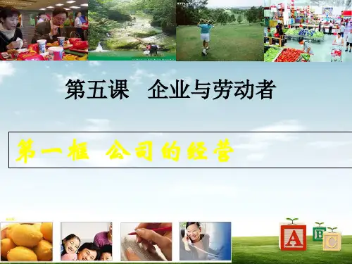【人教版】高一政治必修一：5-1《公司的经营》ppt课件PPT课件