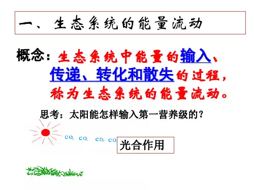 复习之3-4.2生态系统的能量流动和物质循环(共52张PPT)