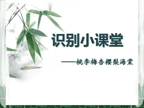 桃李梅杏樱梨海棠的识别