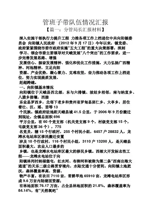 工作汇报之管班子带队伍情况汇报