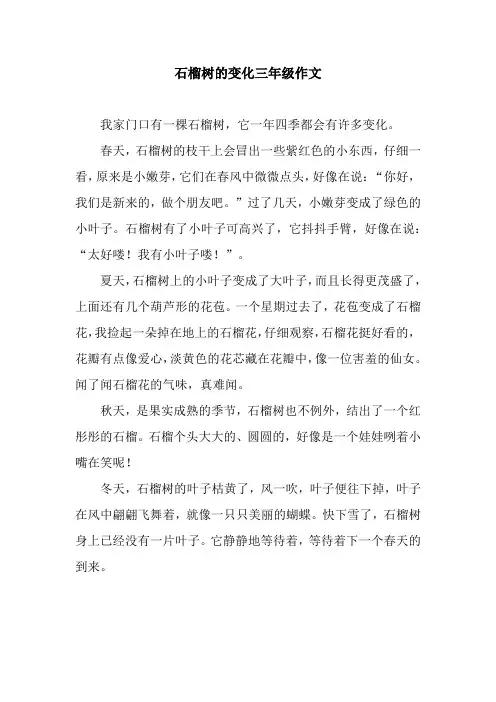 石榴树的变化三年级作文