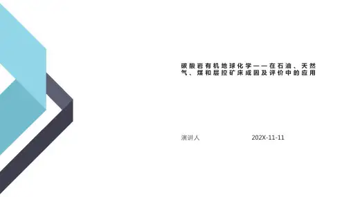 碳酸岩有机地球化学——在石油、天然气、煤和层控矿床成因及评价中的应用PPT模板