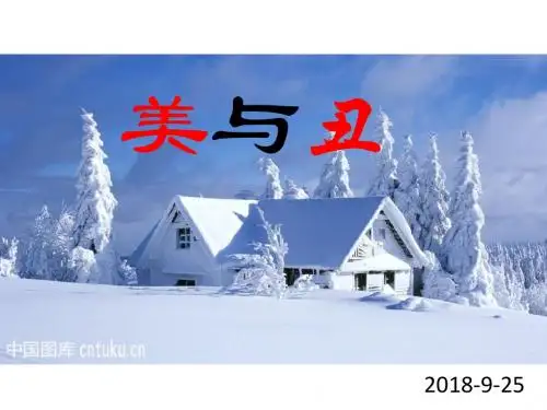 发现美与丑