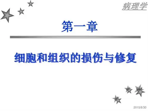 细胞和组织的损伤与修复_图文