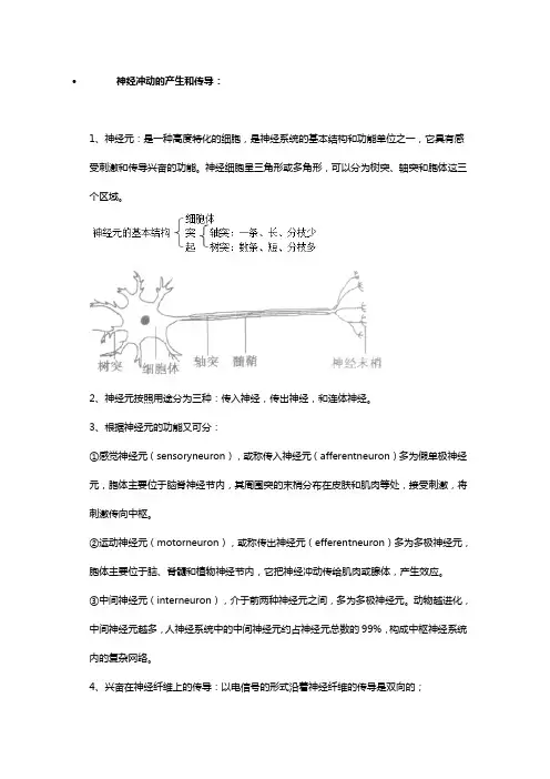 神经冲动的产生和传导