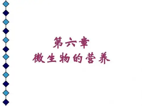 4 微生物的营养