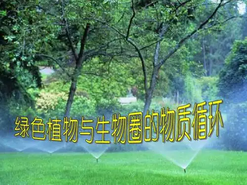 苏教版生物七年级上册3.7.2《绿色植物与生物圈的物质循环》课件3