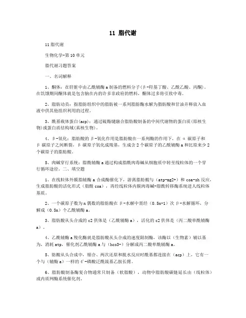11 脂代谢