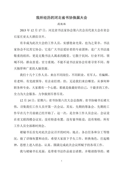 我所经历的书协选举
