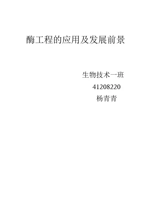 酶工程的应用及发展前景