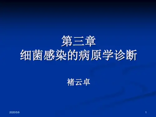 细菌感染的病原学诊断