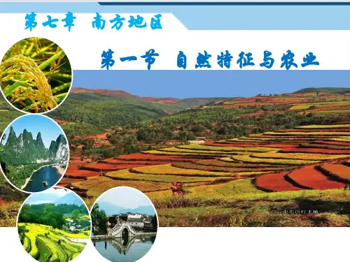 南方地区自然特征与农业课件  (共57张PPT)