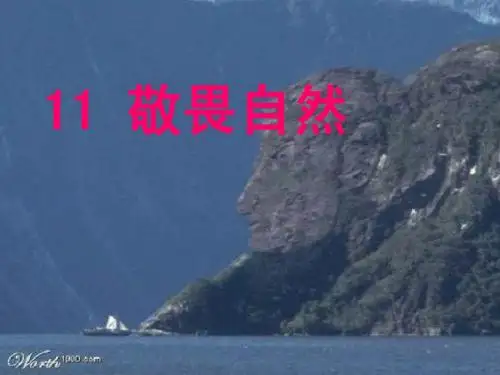 11 敬畏自然ppt