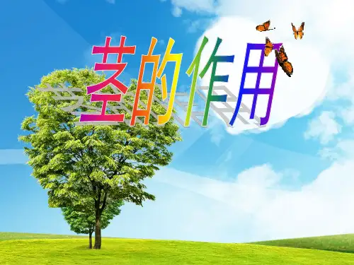(五上)科学优秀课件-1.4 茎的作用|冀教版 PPT(10页)