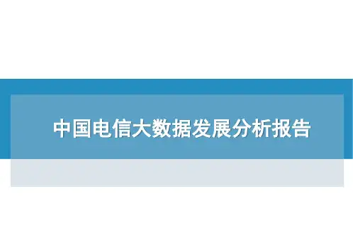 中国电信大数据发展分析报告