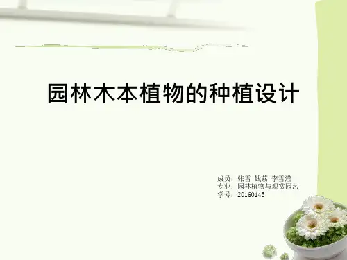 植物种植设计