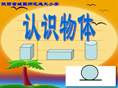 《认识物体》小学数学一年级课件ppt文档