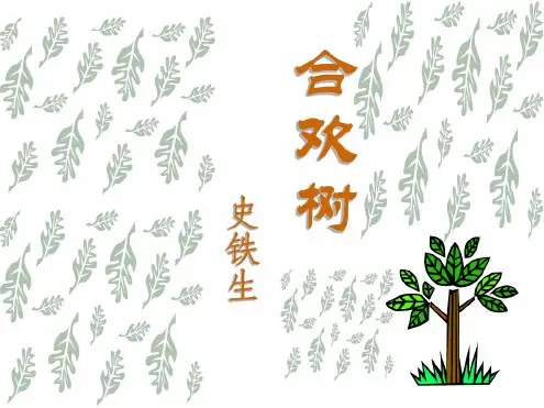 高一语文合欢树
