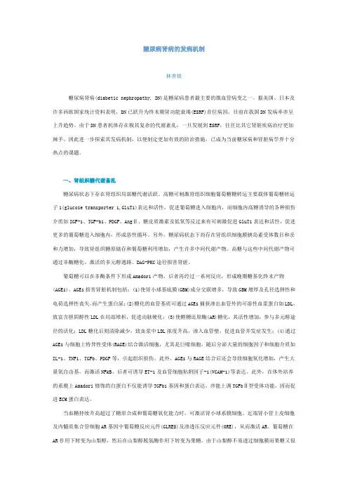 糖尿病肾病的发病机制