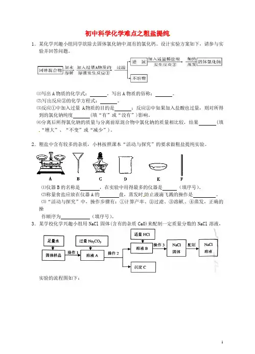 化学难点突破专题22 粗盐的提纯